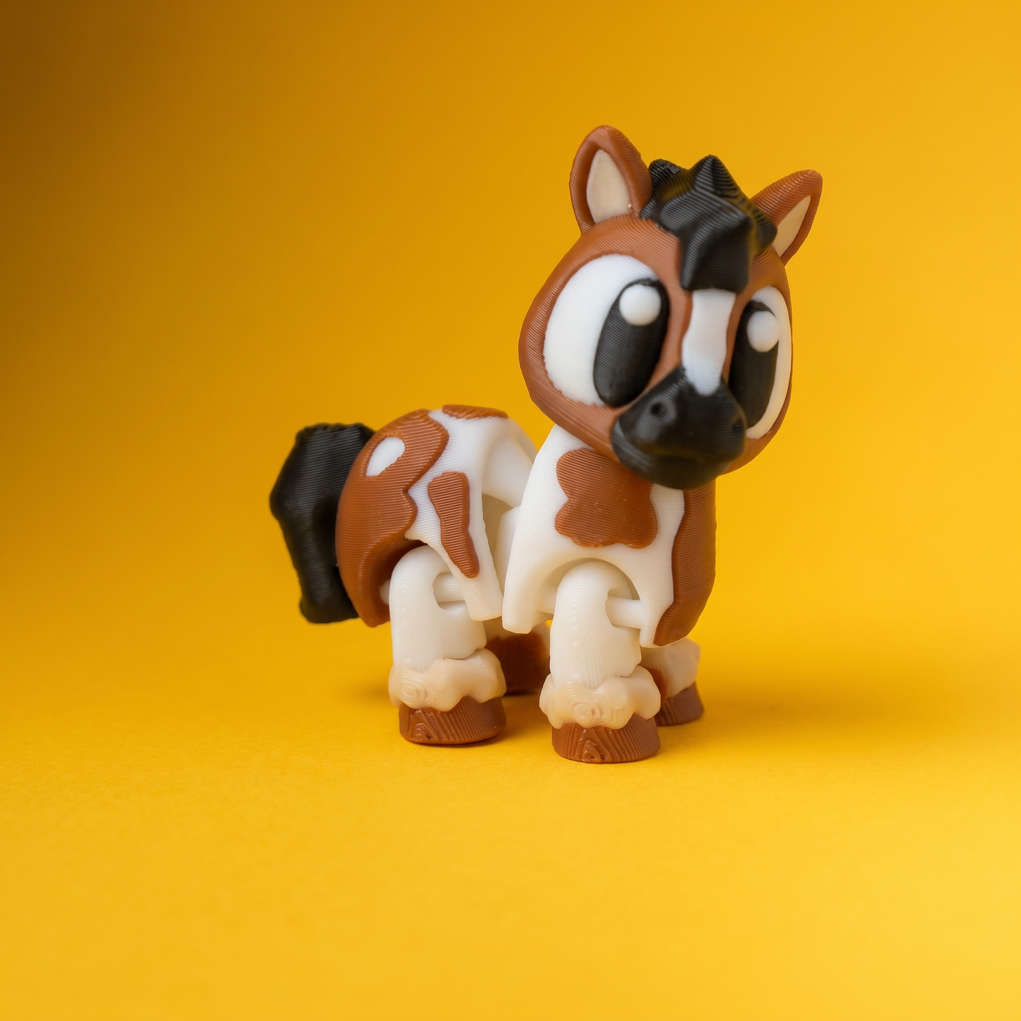 Kiut Caballos