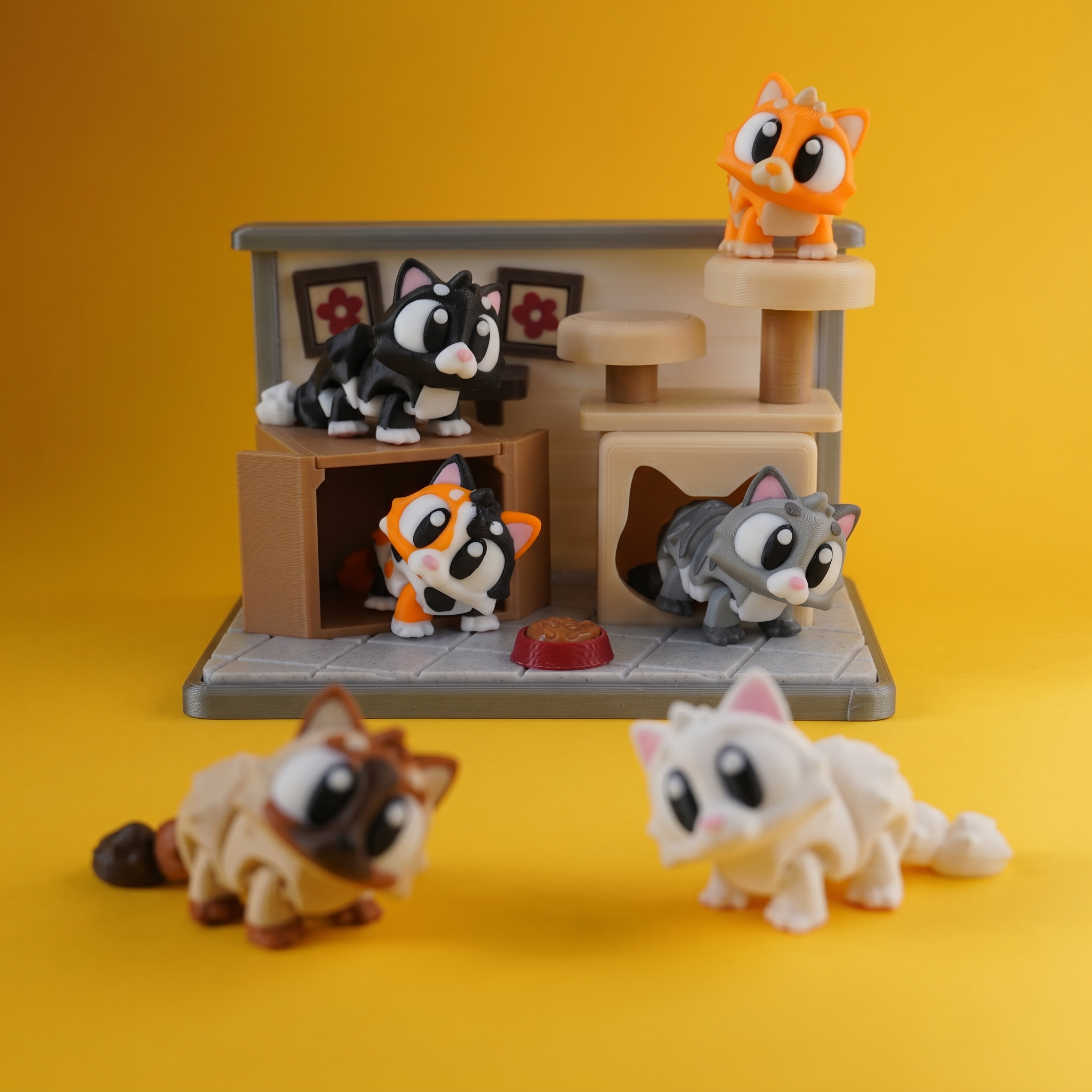 Kiut Gatos