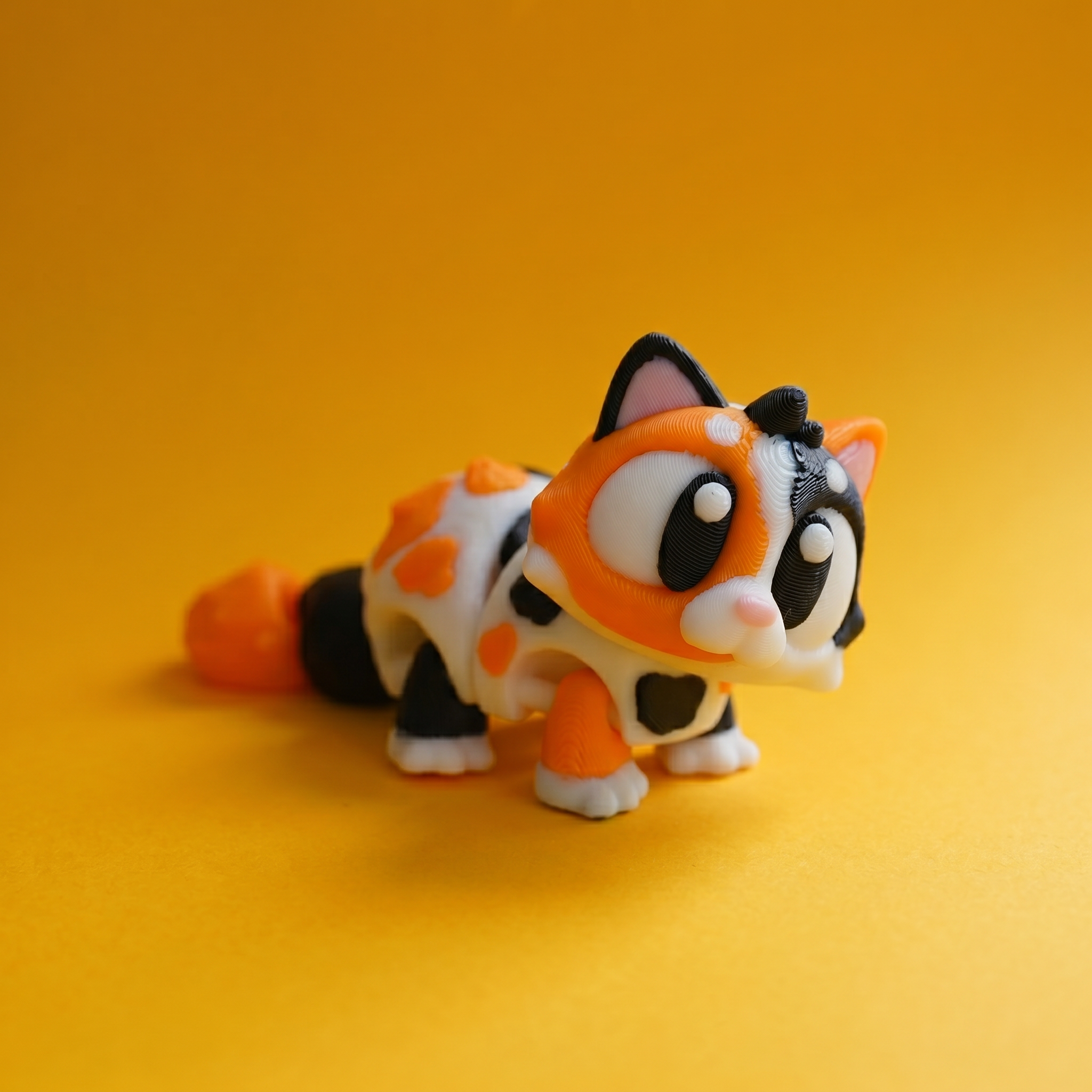 Kiut Gatos