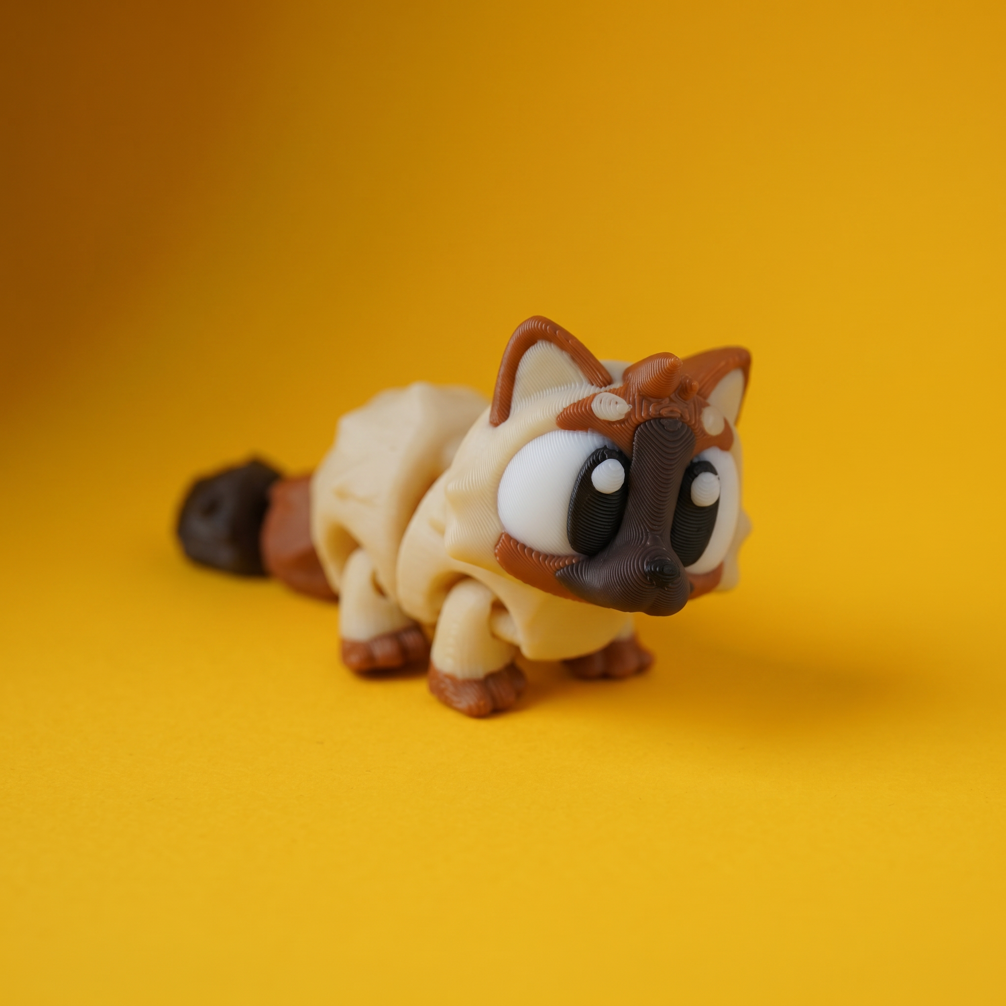 Kiut Gatos