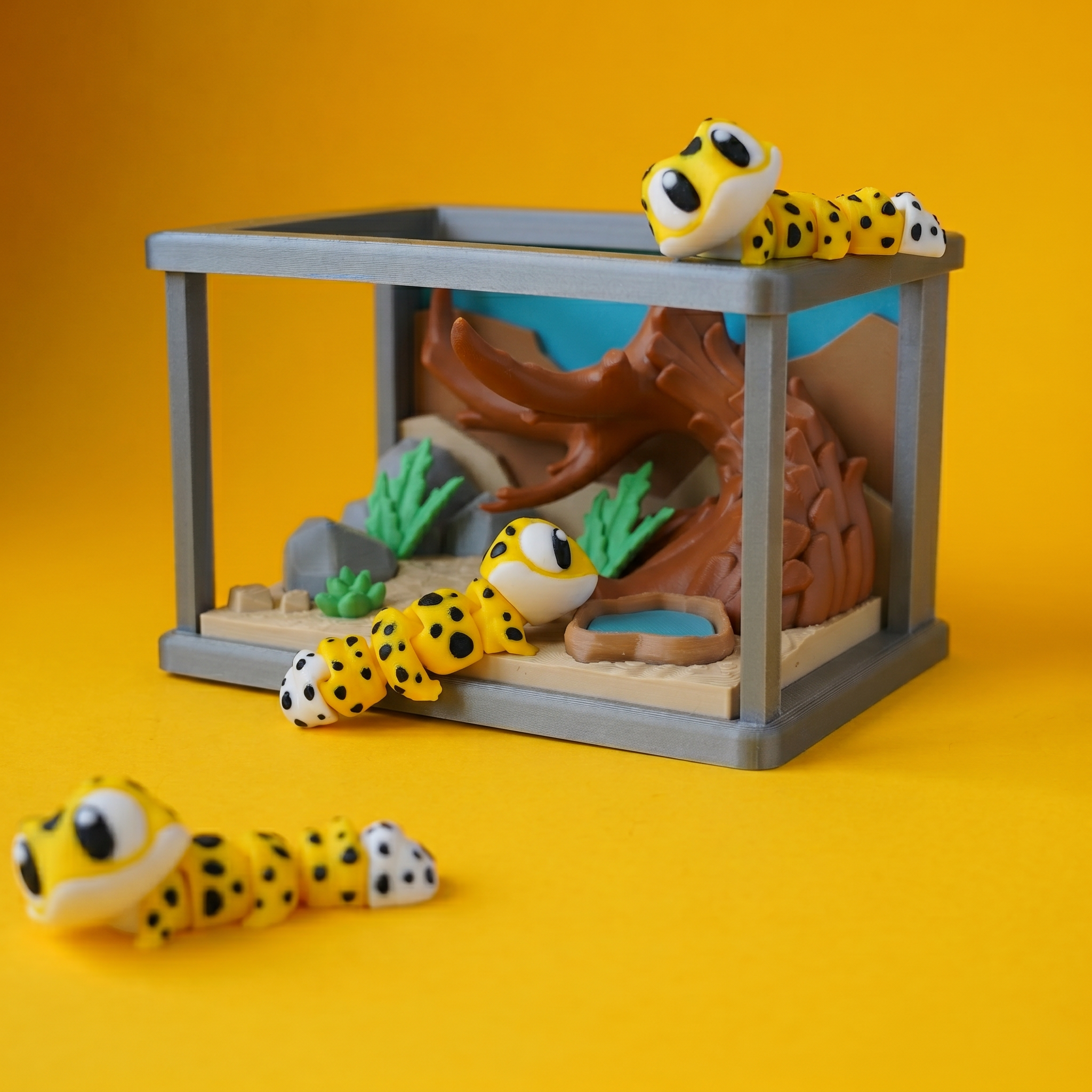 Kiut Gecko