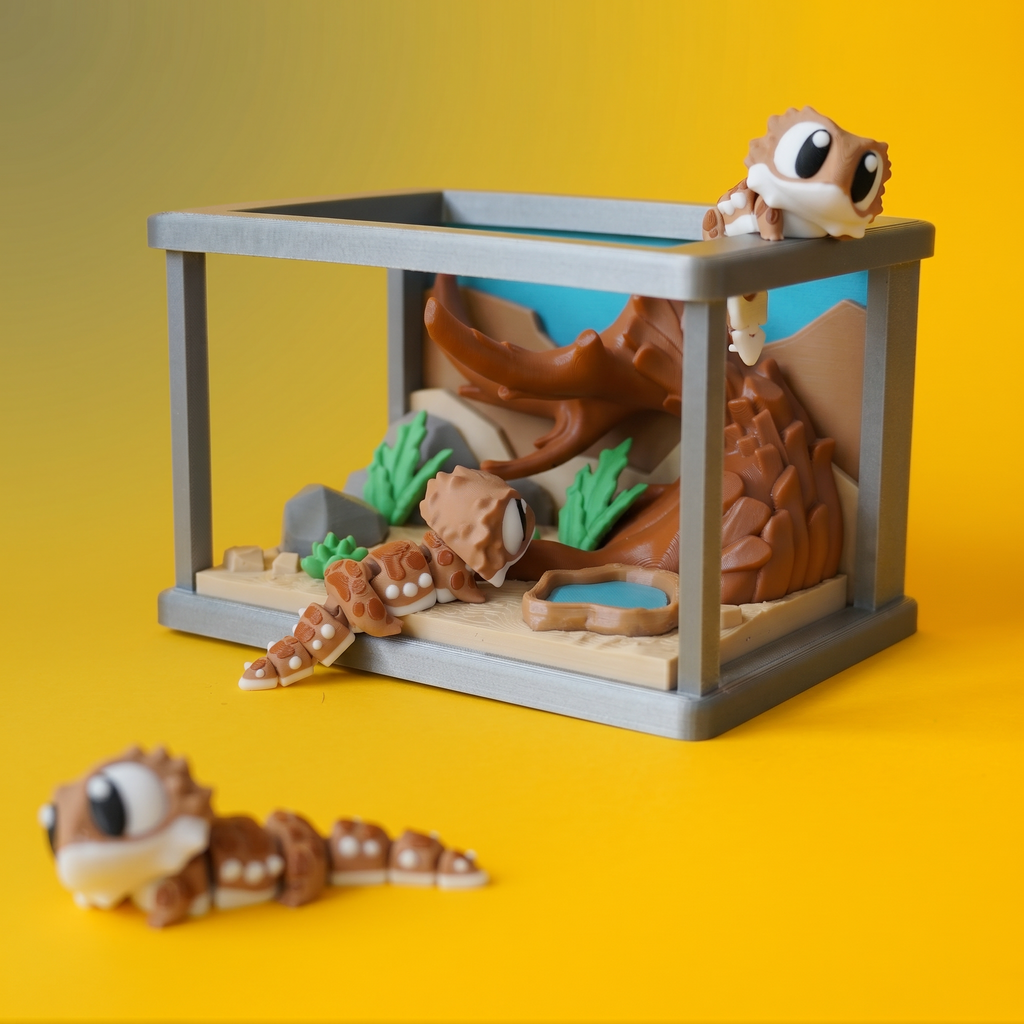 Kiut Iguana Pogona