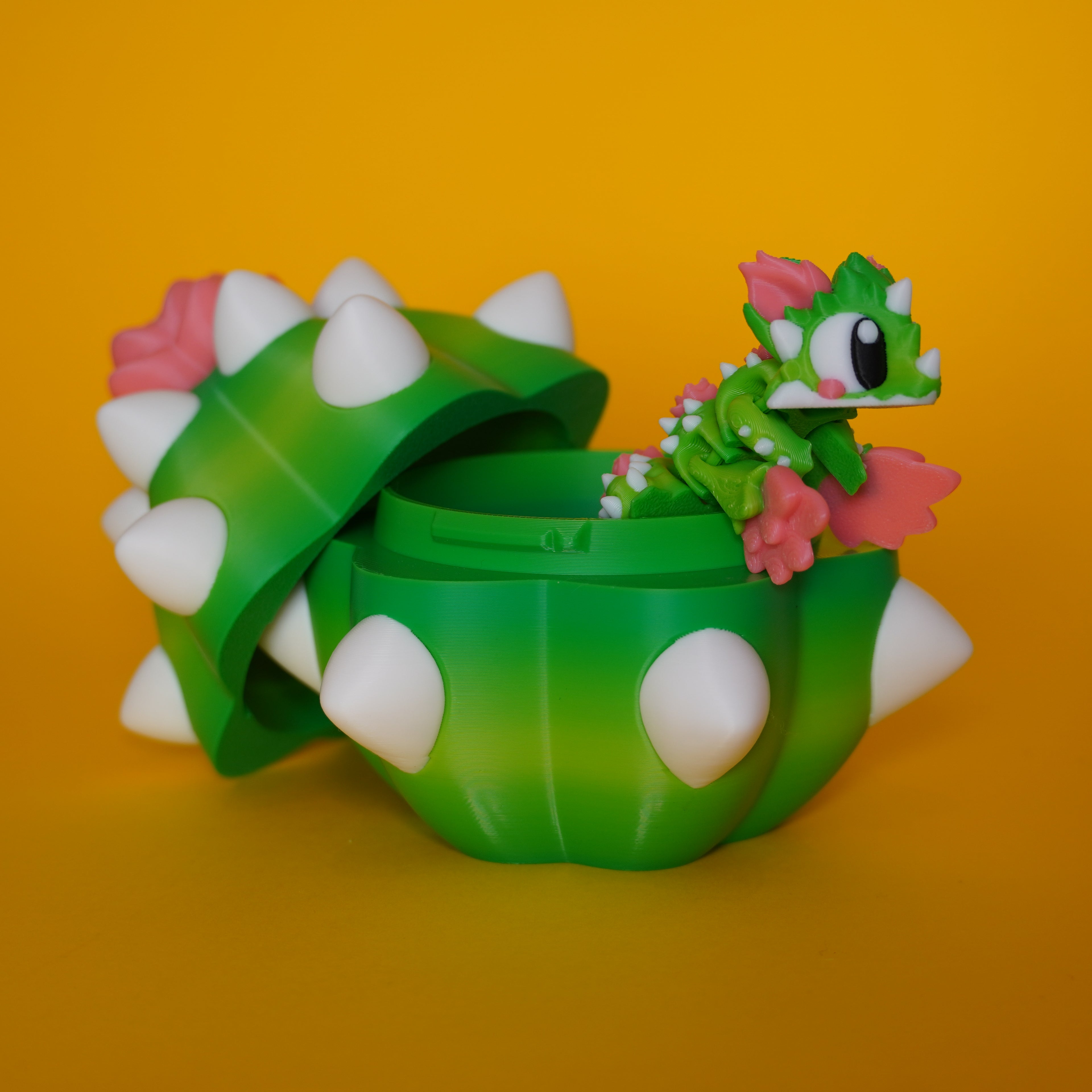Kiut Dragón Cactus