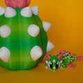 Kiut Dragón Cactus