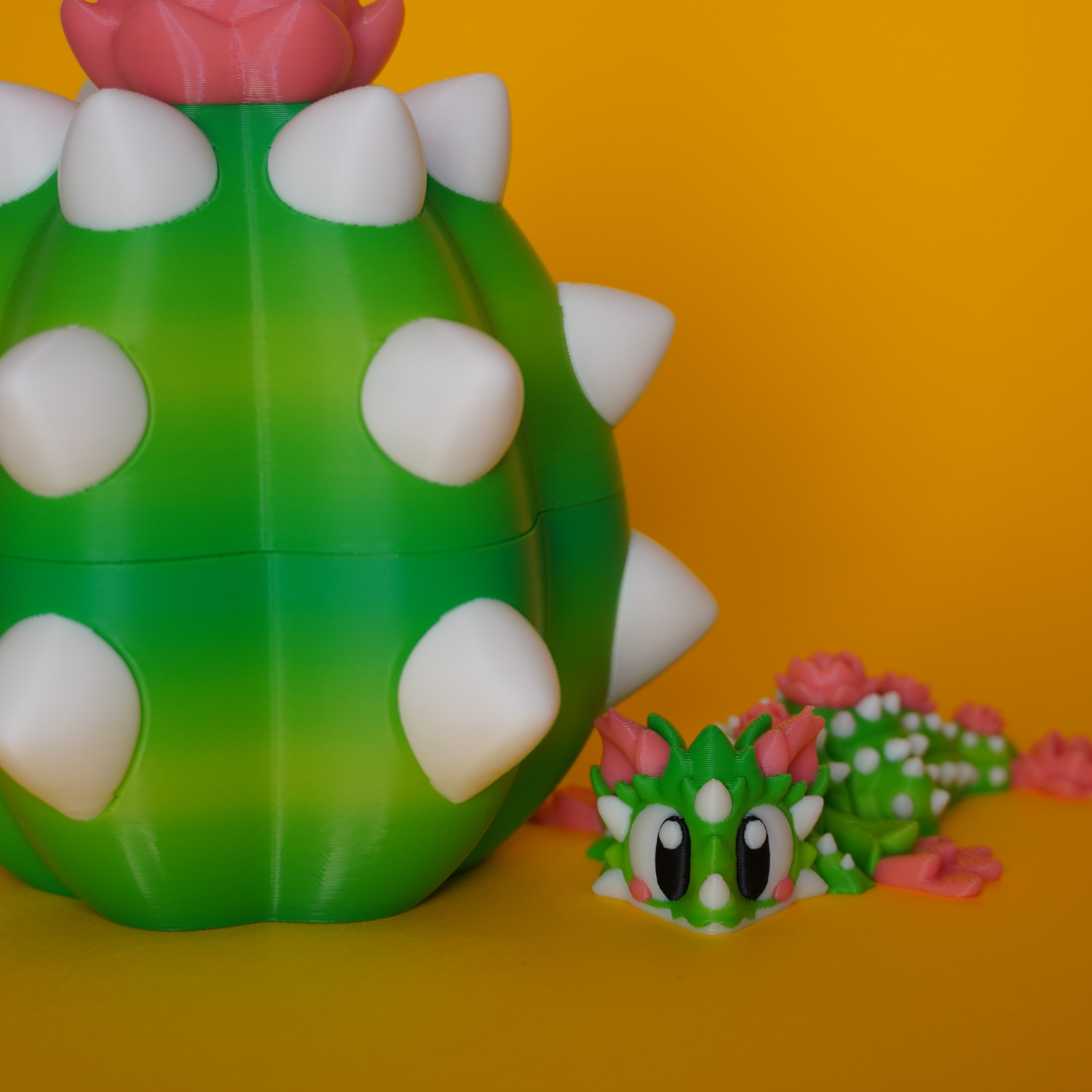 Kiut Dragón Cactus