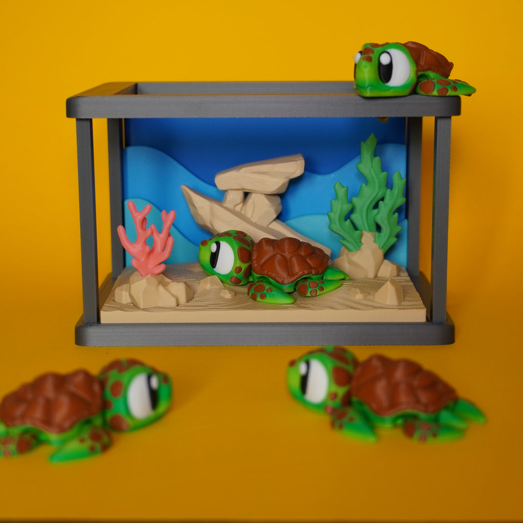 Kiut Tortuga Marina