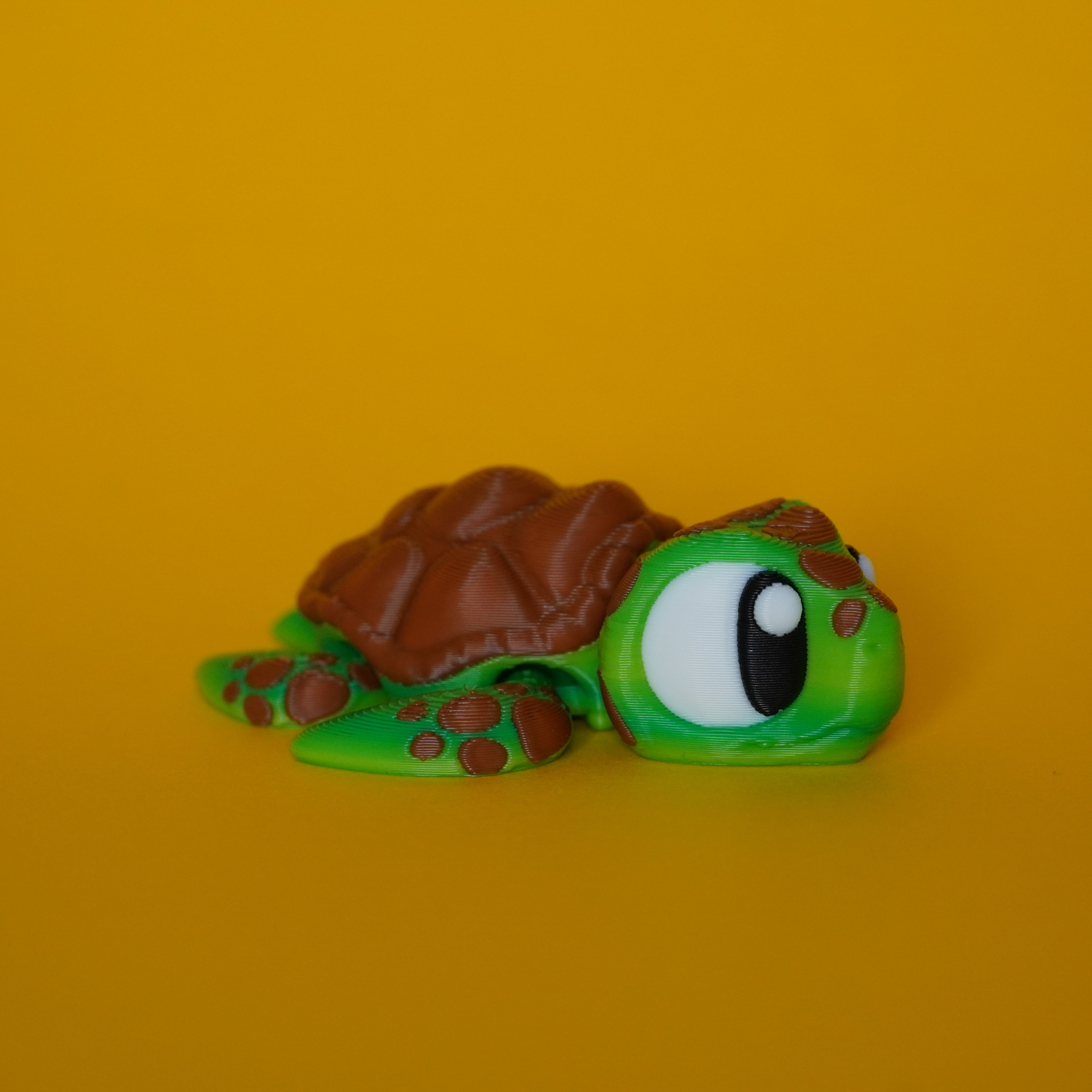 Kiut Tortuga Marina