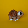 Kiut Tortuga