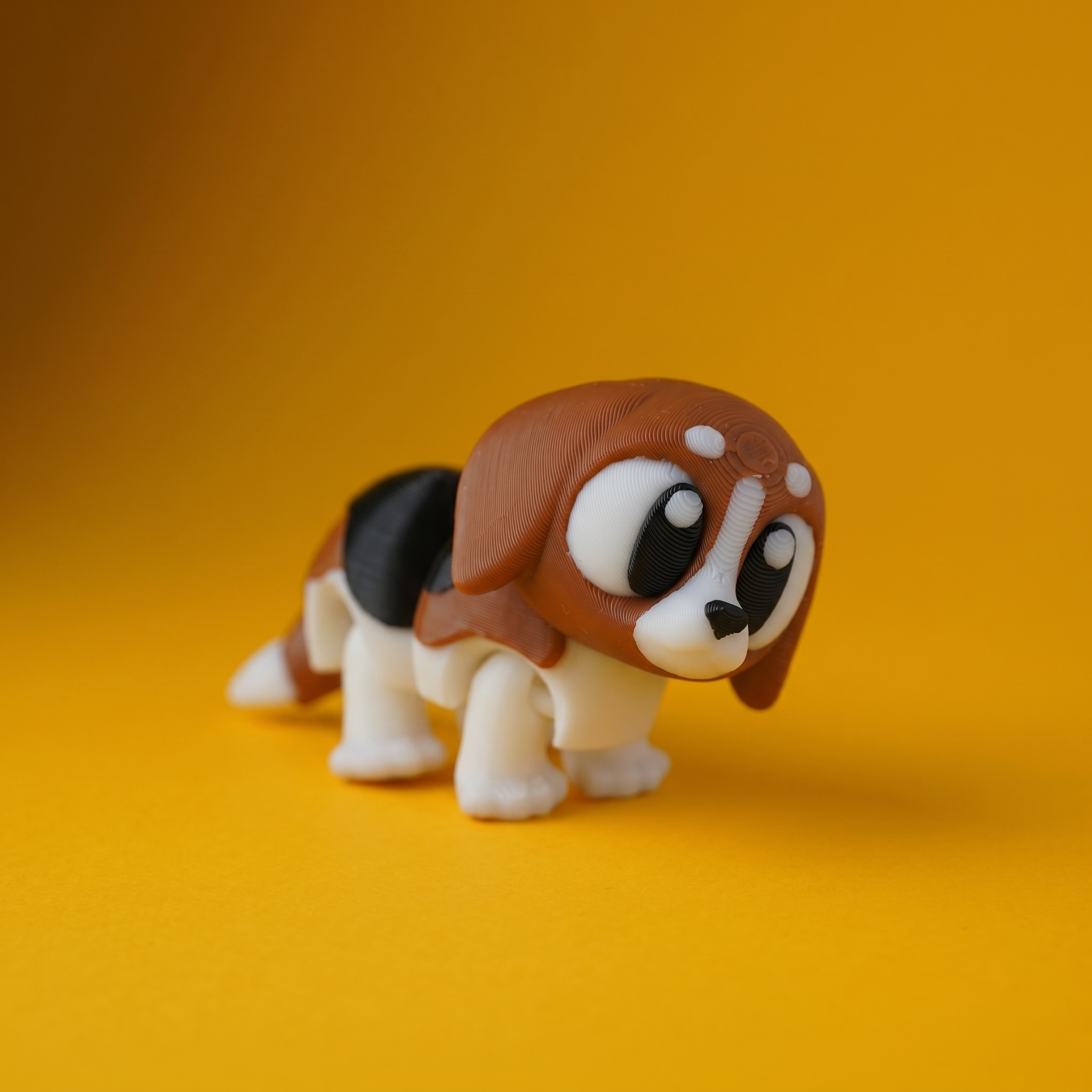 Kiut Perro Beagle