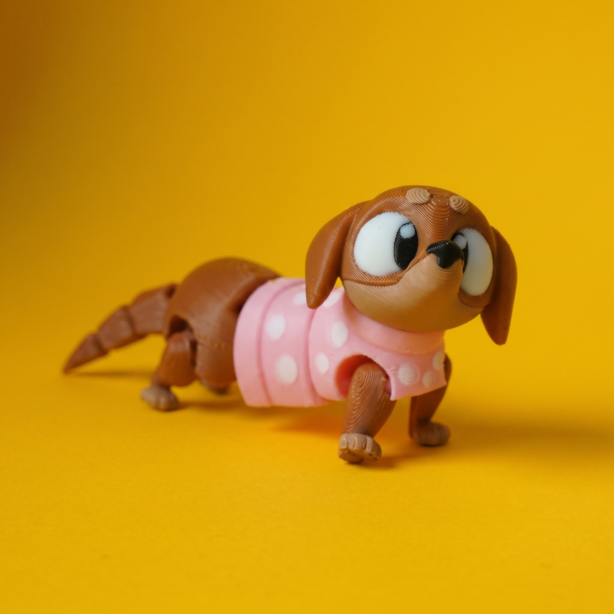 Kiut Perro Salchicha