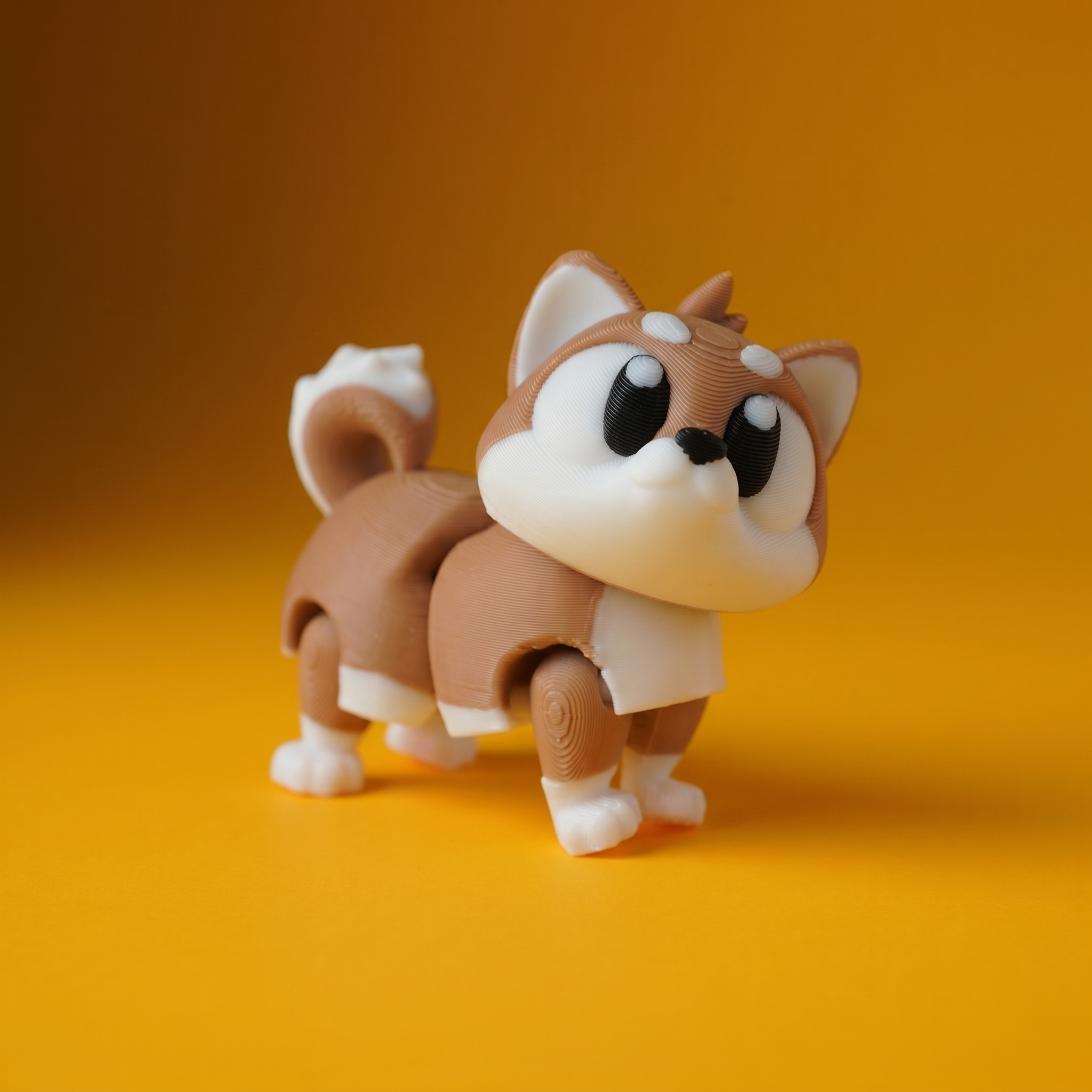 Kiut Shiba Inu