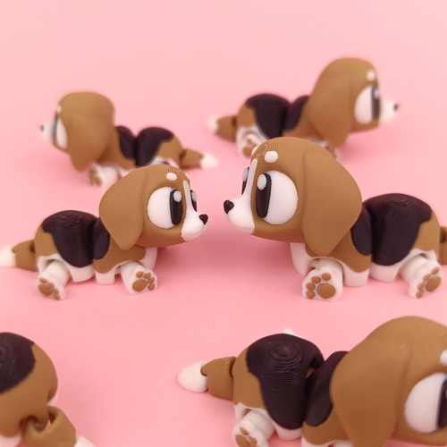 Kiut Beagle