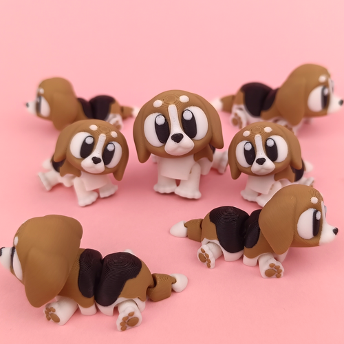 Kiut Beagle