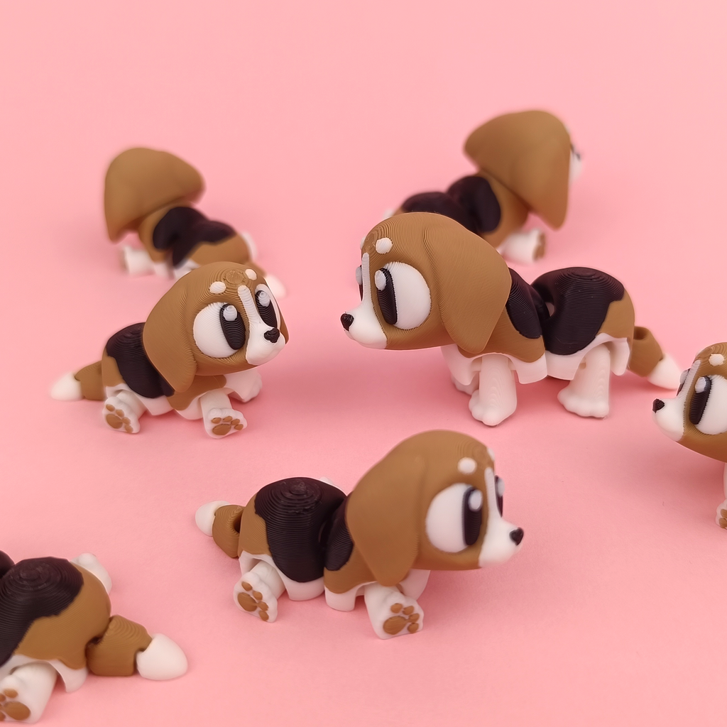 Kiut Beagle