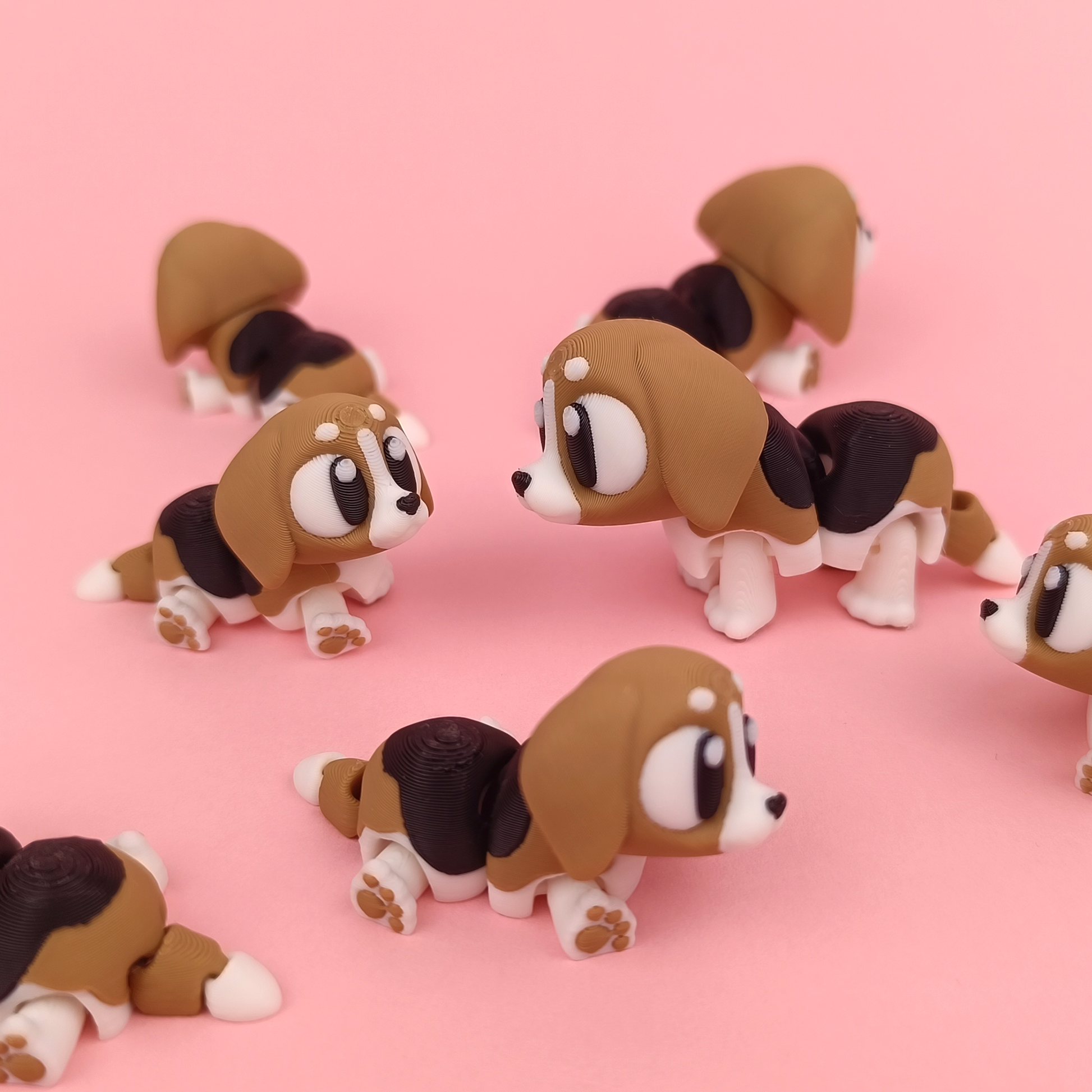 Kiut Beagle