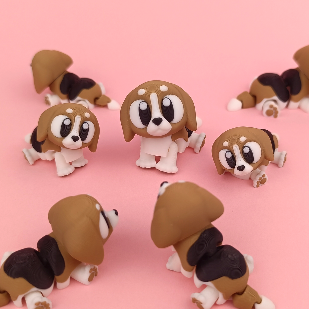 Kiut Beagle