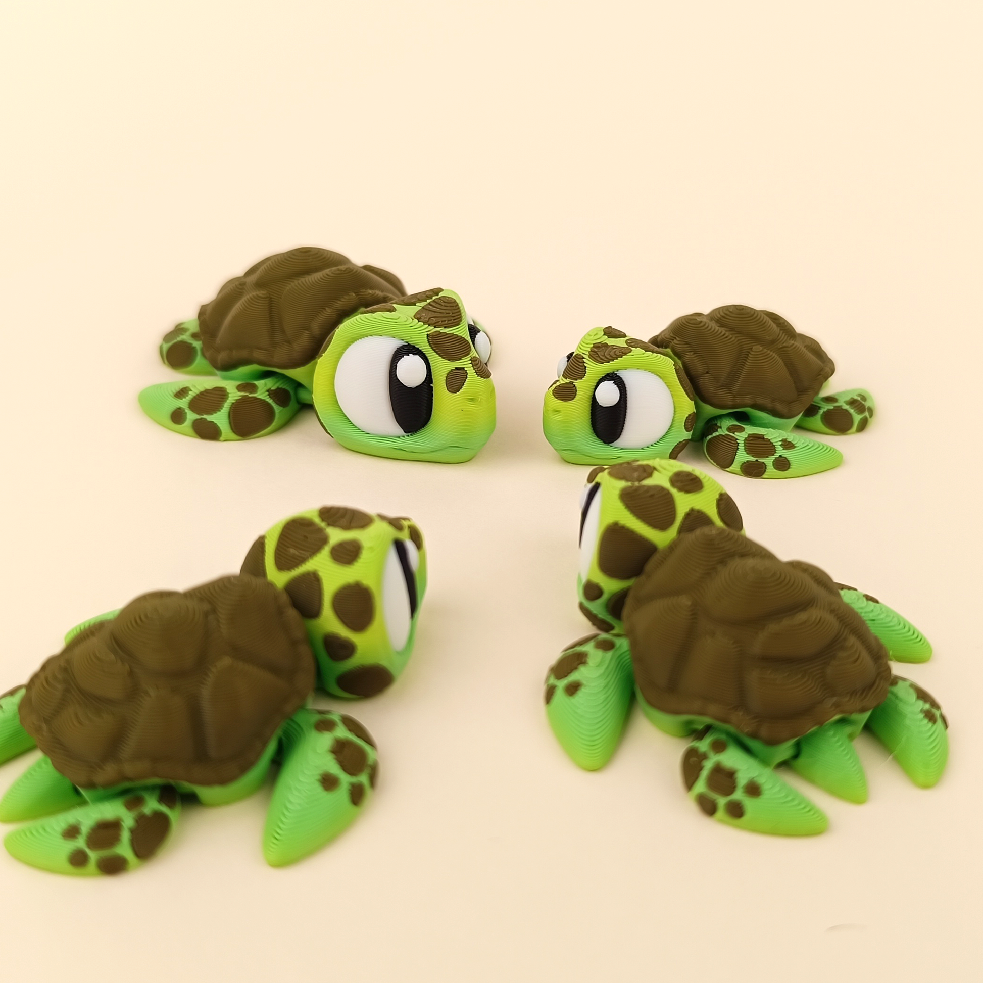 Kiut Tortuga Marina
